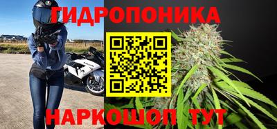 jwh Камышлов