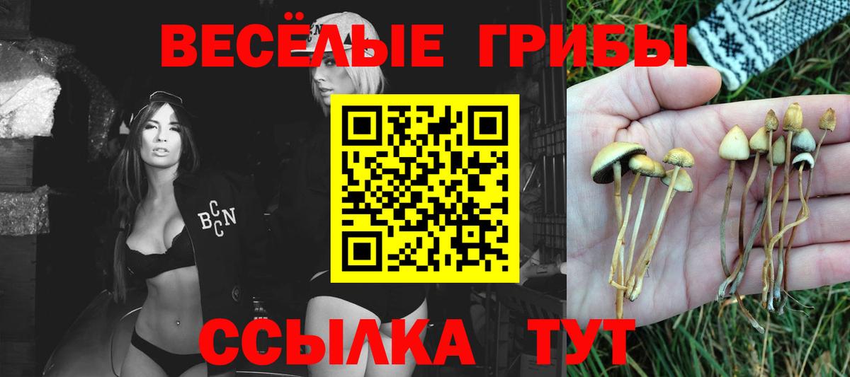 Где купить наркотики?  Меф   ГАШИШ  Люберцы  Вход с VPN  Героин  Бошки Шишки  Cocaine 