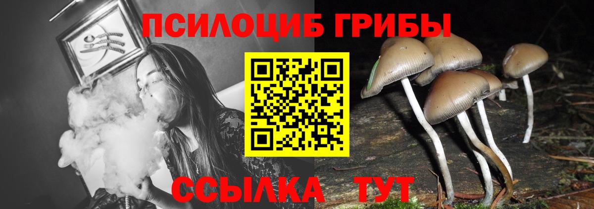 Галлюциногенные грибы Cubensis  цены   Вход с VPN  Люберцы  Псилоцибиновые грибы MAGIC MUSHROOMS 