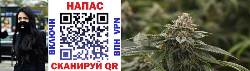 Бошки марихуана OG Kush Люберцы